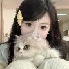 乱人心迷人眼