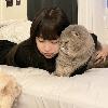 江湖断肠