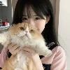 旧人旧事旧空城