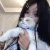 半纸烟雾
