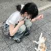 高焰烧焚