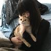 场清梦还未醒